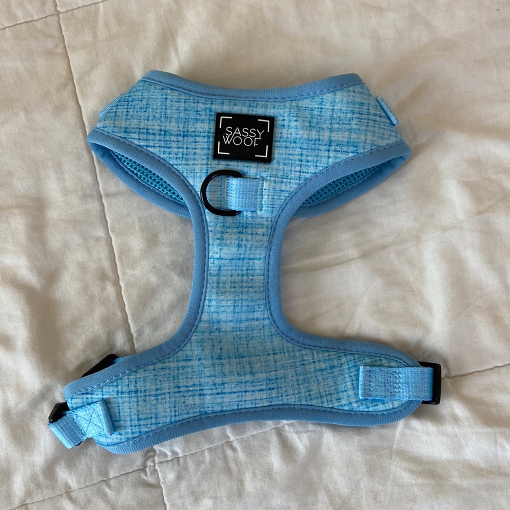 COPY - blue dog harness